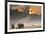 African Sunset with Elephants-Oleg Znamenskiy-Framed Photographic Print