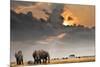 African Sunset with Elephants-Oleg Znamenskiy-Mounted Photographic Print