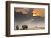 African Sunset with Elephants-Oleg Znamenskiy-Framed Photographic Print