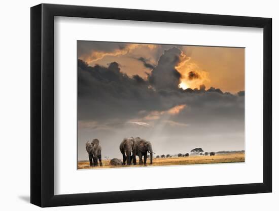 African Sunset with Elephants-Oleg Znamenskiy-Framed Photographic Print