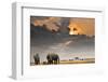 African Sunset with Elephants-Oleg Znamenskiy-Framed Photographic Print