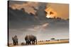 African Sunset with Elephants-Oleg Znamenskiy-Stretched Canvas