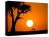 African Sunset-Jonathan Zhang-Stretched Canvas