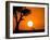 African Sunset-Jonathan Zhang-Framed Photographic Print