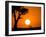 African Sunset-Jonathan Zhang-Framed Photographic Print