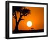 African Sunset-Jonathan Zhang-Framed Photographic Print