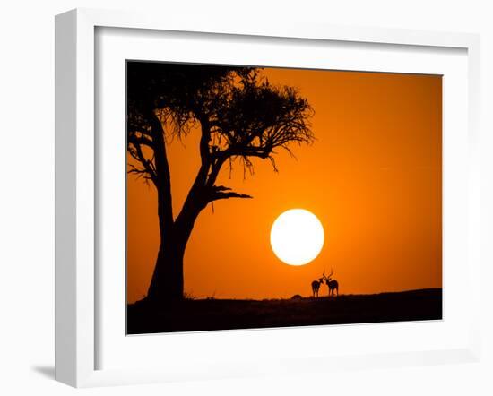 African Sunset-Jonathan Zhang-Framed Photographic Print