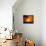 African Sunset-Jonathan Zhang-Framed Stretched Canvas displayed on a wall