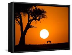 African Sunset-Jonathan Zhang-Framed Stretched Canvas