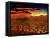 African Sunset-John Newcomb-Framed Stretched Canvas