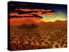 African Sunset-John Newcomb-Stretched Canvas