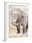 African Traveling  Animals Elephant-Jace Grey-Framed Art Print