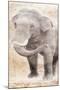 African Traveling  Animals Elephant-Jace Grey-Mounted Art Print