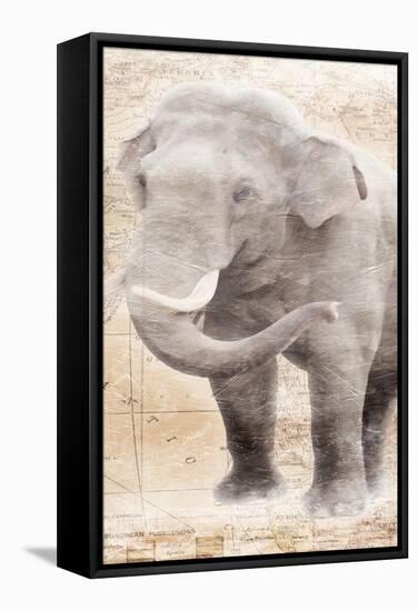 African Traveling  Animals Elephant-Jace Grey-Framed Stretched Canvas
