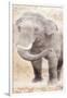 African Traveling  Animals Elephant-Jace Grey-Framed Art Print