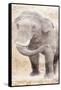 African Traveling  Animals Elephant-Jace Grey-Framed Stretched Canvas