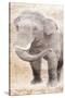 African Traveling  Animals Elephant-Jace Grey-Stretched Canvas