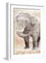 African Traveling  Animals Elephant-Jace Grey-Framed Art Print