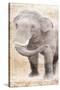 African Traveling  Animals Elephant-Jace Grey-Stretched Canvas