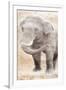 African Traveling  Animals Elephant-Jace Grey-Framed Art Print