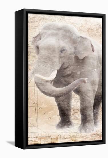 African Traveling  Animals Elephant-Jace Grey-Framed Stretched Canvas