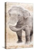 African Traveling  Animals Elephant-Jace Grey-Stretched Canvas