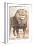 African Traveling  Animals Three-Jace Grey-Framed Art Print