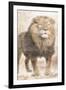 African Traveling  Animals Three-Jace Grey-Framed Art Print