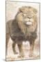 African Traveling  Animals Three-Jace Grey-Mounted Art Print
