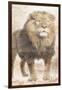 African Traveling  Animals Three-Jace Grey-Framed Art Print