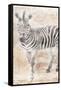 African Traveling  Animals Two-Jace Grey-Framed Stretched Canvas