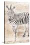 African Traveling  Animals Two-Jace Grey-Stretched Canvas
