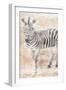 African Traveling  Animals Two-Jace Grey-Framed Art Print