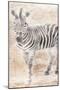 African Traveling  Animals Two-Jace Grey-Mounted Art Print