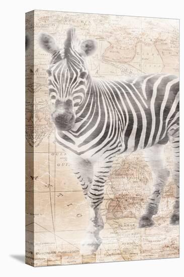 African Traveling  Animals Two-Jace Grey-Stretched Canvas