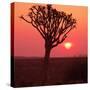 African Tree-Andrushko Galyna-Stretched Canvas