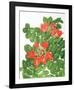 African Tulip Tree-Marion Sheehan-Framed Collectable Print