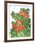 African Tulip Tree-Marion Sheehan-Framed Collectable Print