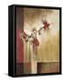 African Tulip-Terri Burris-Framed Stretched Canvas