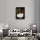 African Vessel IV-Jennifer Garant-Giclee Print displayed on a wall