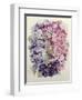 African Violets-Joan Thewsey-Framed Giclee Print