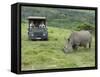 African White Rhinoceros, Inkwenkwezi Private Game Reserve, East London, South Africa-Cindy Miller Hopkins-Framed Stretched Canvas