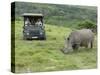 African White Rhinoceros, Inkwenkwezi Private Game Reserve, East London, South Africa-Cindy Miller Hopkins-Stretched Canvas