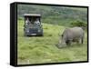 African White Rhinoceros, Inkwenkwezi Private Game Reserve, East London, South Africa-Cindy Miller Hopkins-Framed Stretched Canvas