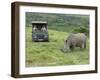 African White Rhinoceros, Inkwenkwezi Private Game Reserve, East London, South Africa-Cindy Miller Hopkins-Framed Photographic Print