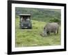 African White Rhinoceros, Inkwenkwezi Private Game Reserve, East London, South Africa-Cindy Miller Hopkins-Framed Photographic Print