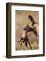 African Wild Dog Carrying Dead Impala Calf-Paul Souders-Framed Photographic Print