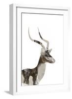 African Wild Dog - Male Impala-James Hager-Framed Photographic Print