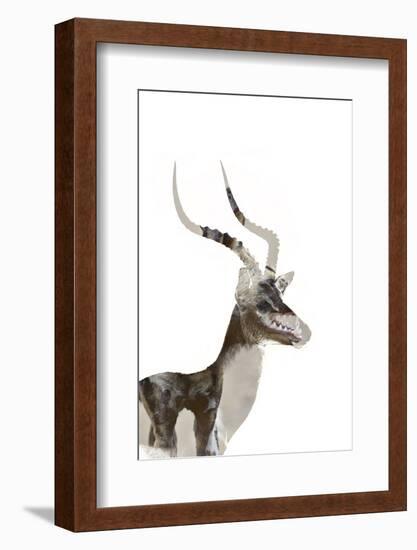 African Wild Dog - Male Impala-James Hager-Framed Photographic Print