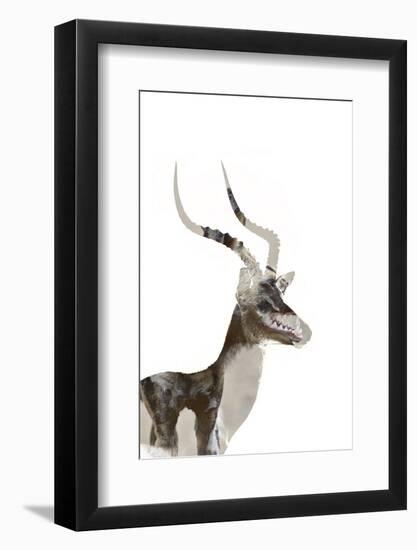 African Wild Dog - Male Impala-James Hager-Framed Photographic Print